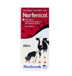 Buy Norfenicol (Florfenicol) Solution for Beef and Non-Lactating Dairy Cattle 250ml Online