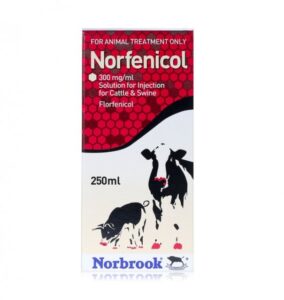 Norfenicol (Florfenicol) Solution for Injection Buy Norfenicol (Florfenicol) Solution for Beef and Non-Lactating Dairy Cattle 250ml Online