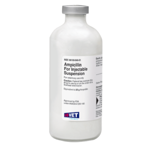 Buy Ampicillin Powder for Injectable Suspension for Cattle, Dogs and Cats Online