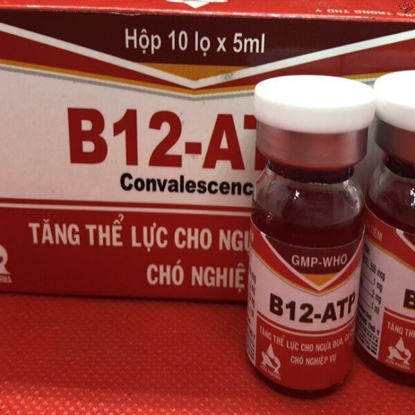 Buy ATP/Utp B12 Injection Online - Equines Vet Care