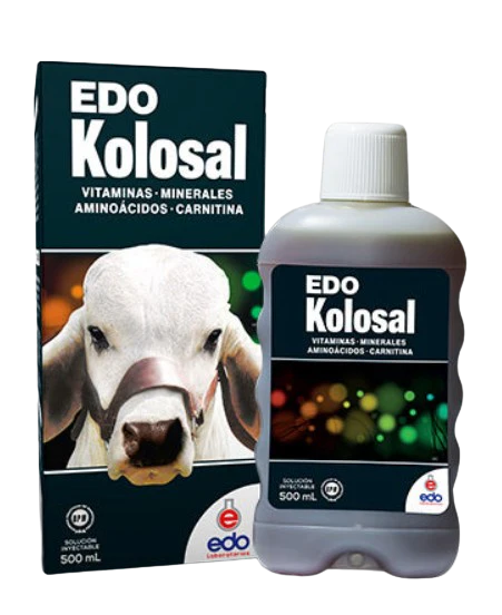 Buy Edo Kolosal 500ml Online - Edo Kolosal 500ml For Sale Online