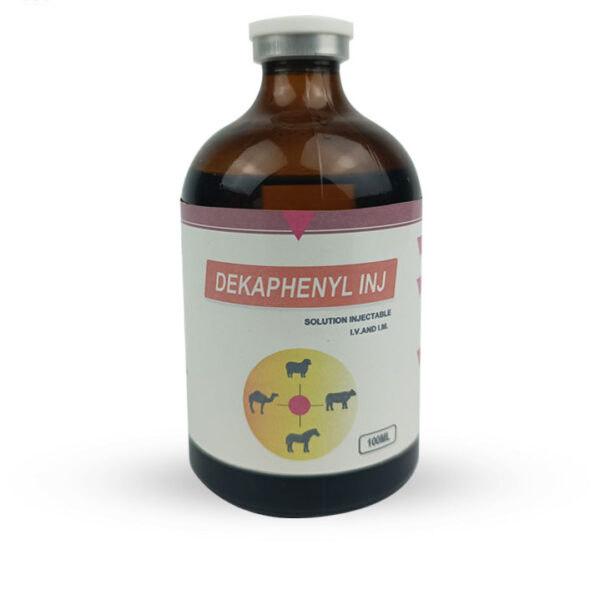 Buy Dexaphenyl Injection 100ml Online
