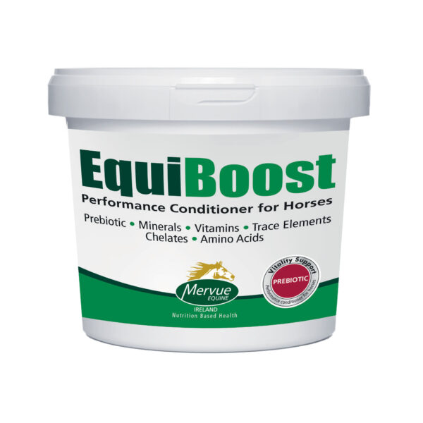Buy Equiboost Complex | 26 Key Bioavailable Nutrients | Equines Vet Care