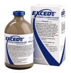 Buy Excede for Cattle and Horses 100ml Online - Equines Vet Care