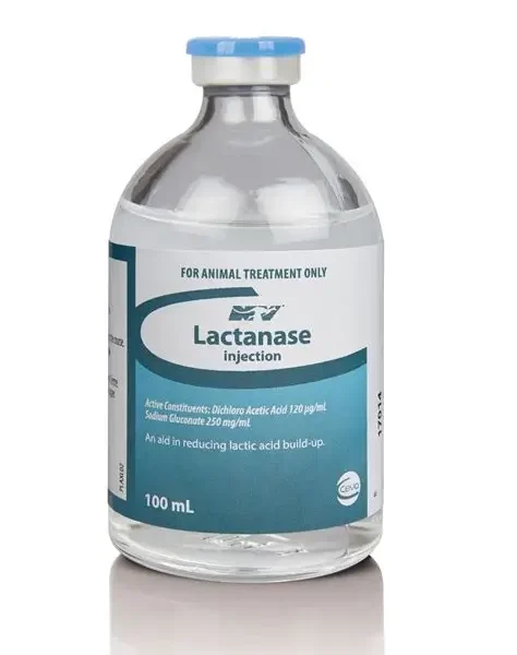 Buy Lactanase Injection 100ML Online
