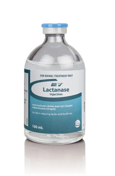 Buy Lactanase Injection 100ML Online