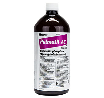 Shop Pulmotil AC Aqueous Concentrate for Swine Online