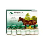 Buy Adequan i.m Injection Online - Adequan i.m Injection For Sale
