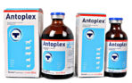 Antoplex Injection For Sale Online - Buy Antoplex Injection Online
