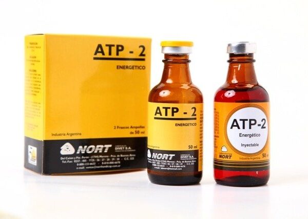 ATP-2