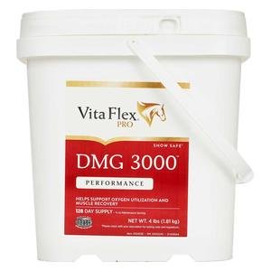 DMG 3000 for Horses