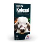 Edo Kolosal 500ml For Sale Online At E.V.C