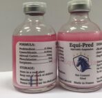 Buy Equi-pred Injectable Suspension Online | Equines Vet Care