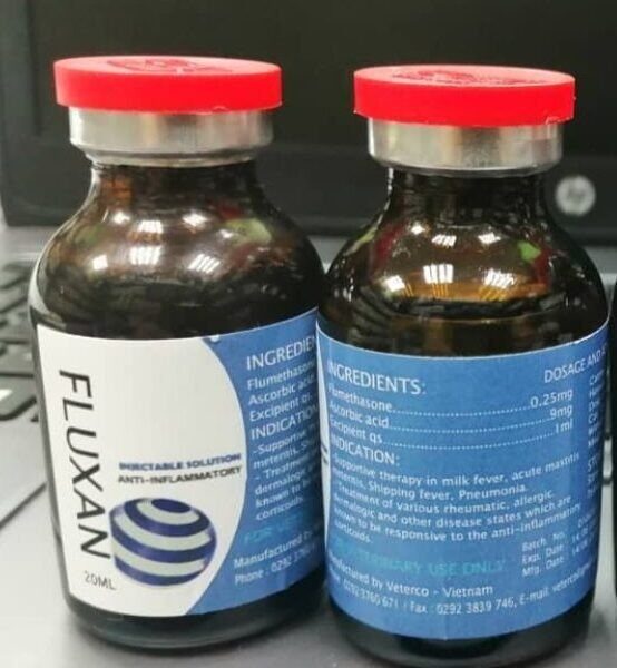 fluxan 20ml