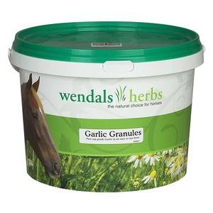 Garlic Powder Pure for Horses