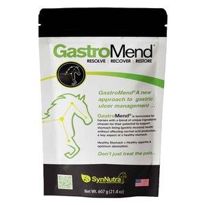 GastroMend for Horses