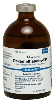 Buy Dexamethasone Injection Online | Elite Racehorse Joint & Airway Care