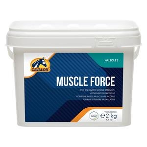 Muscle Force Powder for Horses