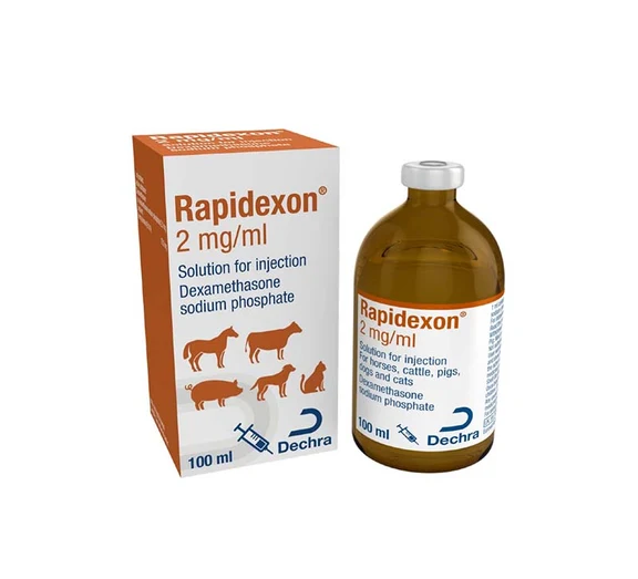 Buy Rapidexon 2mg/ML Injection 100ml Online - Equines Vet Care