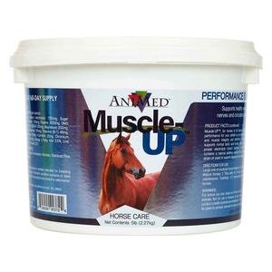 Muscle-Up for Horses