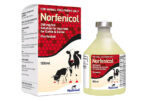 Shop Norfenicol (Florfenicol) Solution for Beef and Non-Lactating Dairy Cattle 250ml Online