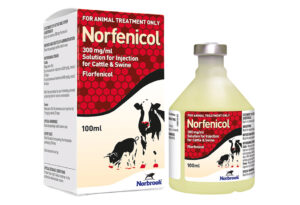 Norfenicol (Florfenicol) Solution for Injection Shop Norfenicol (Florfenicol) Solution for Beef and Non-Lactating Dairy Cattle 250ml Online