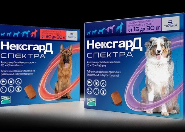 Nexgard Spectra