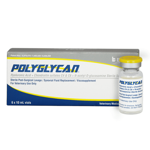 Buy Polyglycan 10ml Sterile Solution Online