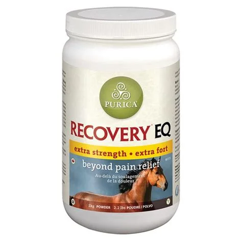Buy Recovery EQ Powder 2.2 Online - Equines Vet Care
