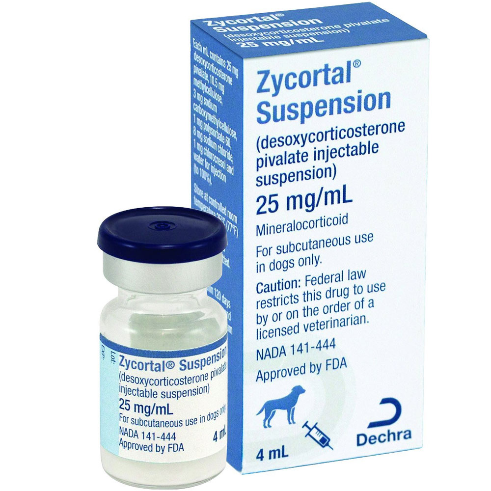 Zycortal Injection for Dogs Buy Zycortal Injection for Dogs Online - Equines Vet Care