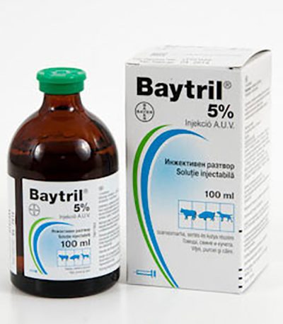 Buy Baytril Online | Enrofloxacin Veterinary Antibiotic | Equines Vet Care