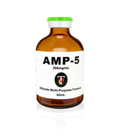 AMP5_rev3.jpg