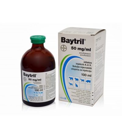 bay5-800x800-1.jpg